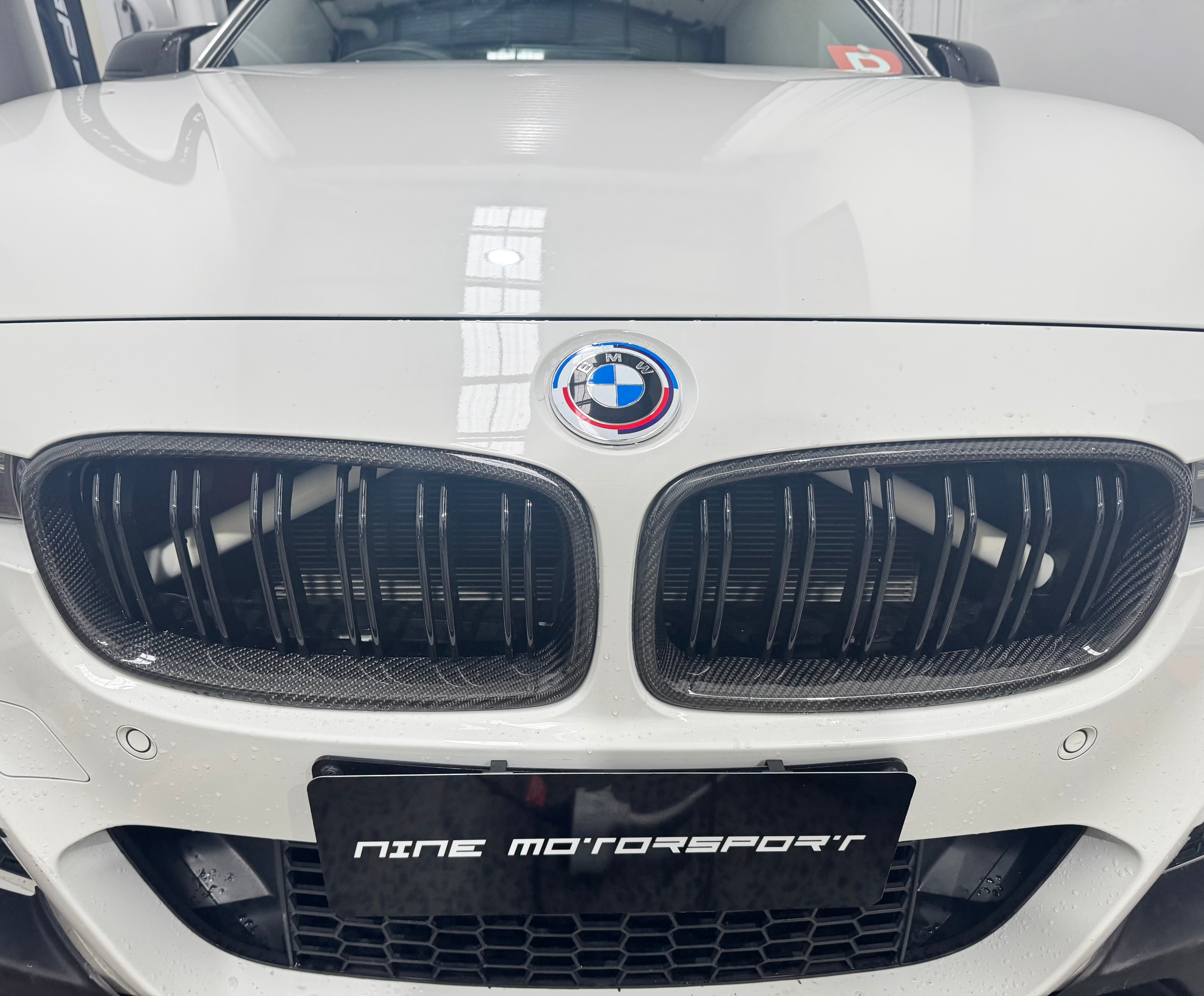 BMW F30 | F31 3 Series Carbon Fibre Front Grille Dual Slat
