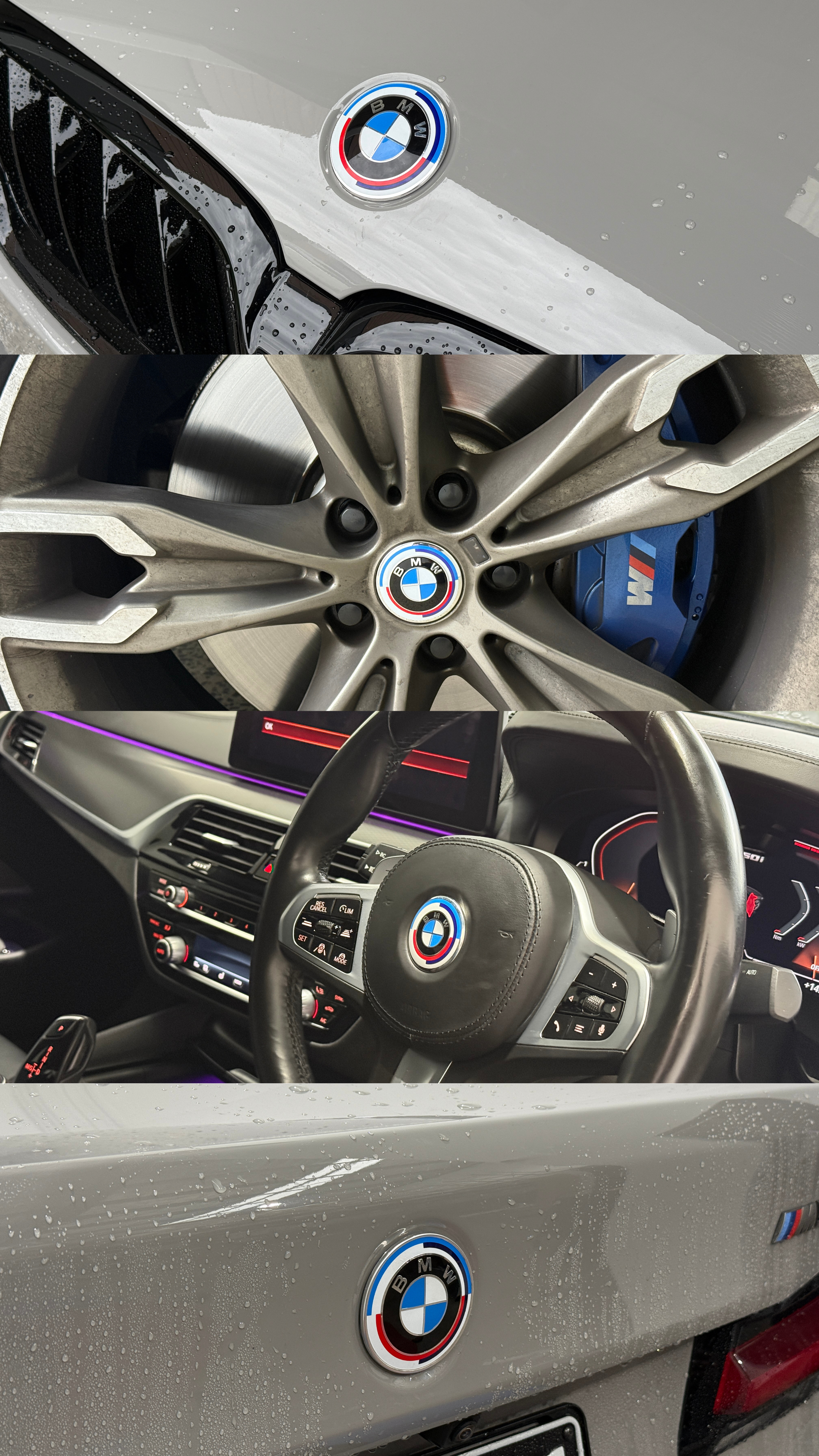 BMW M 50 Year Anniversary Emblem Badges