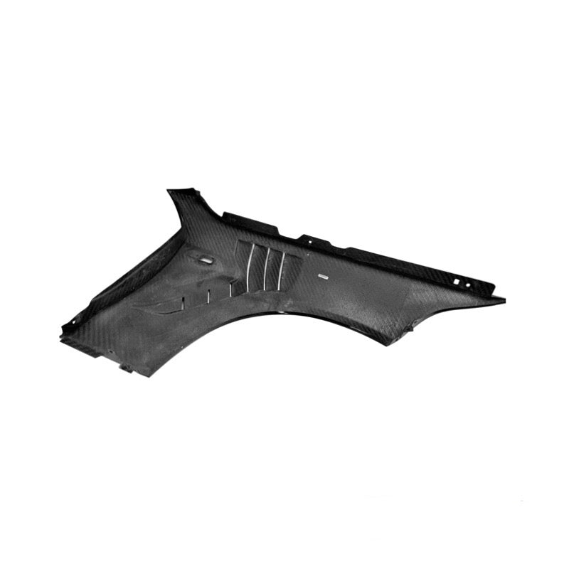 BMW F87 M2 Dry Carbon Fibre Front Fenders